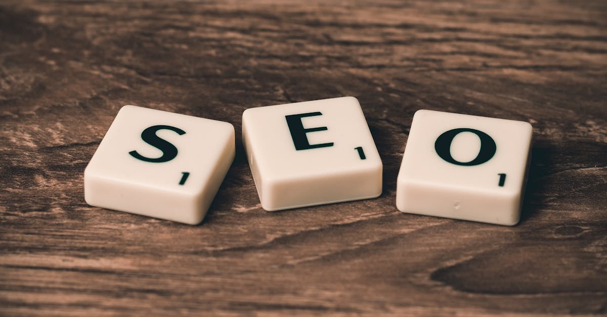 What is search engine optimization SEO?